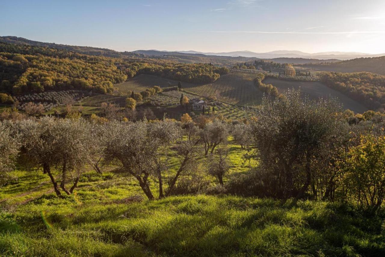 Dolce Cuore Luxe Apartment Chianti Florence Male Romantyczne Mieszkanie San Donato in Poggio Buitenkant foto